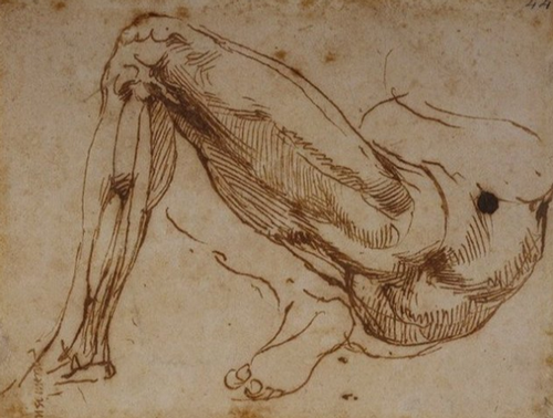 donato, notarfrancesco